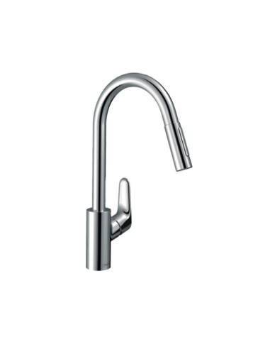 Hansgrohe Focus M41 Einhebel...